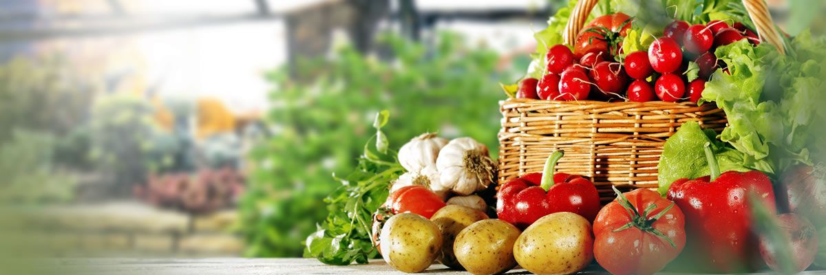 Ern&auml;hrungsberatung